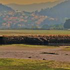 antiguas salinas ( ria de vigo ) ll