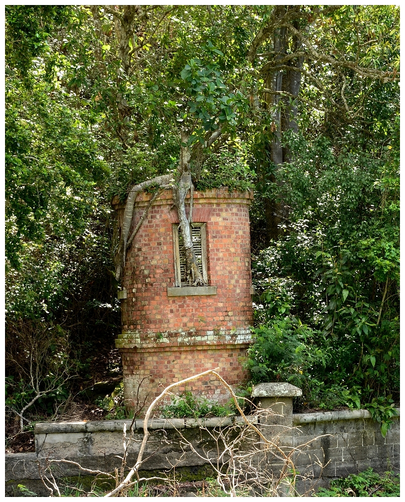 Antigua_Wallings Reservoir_3