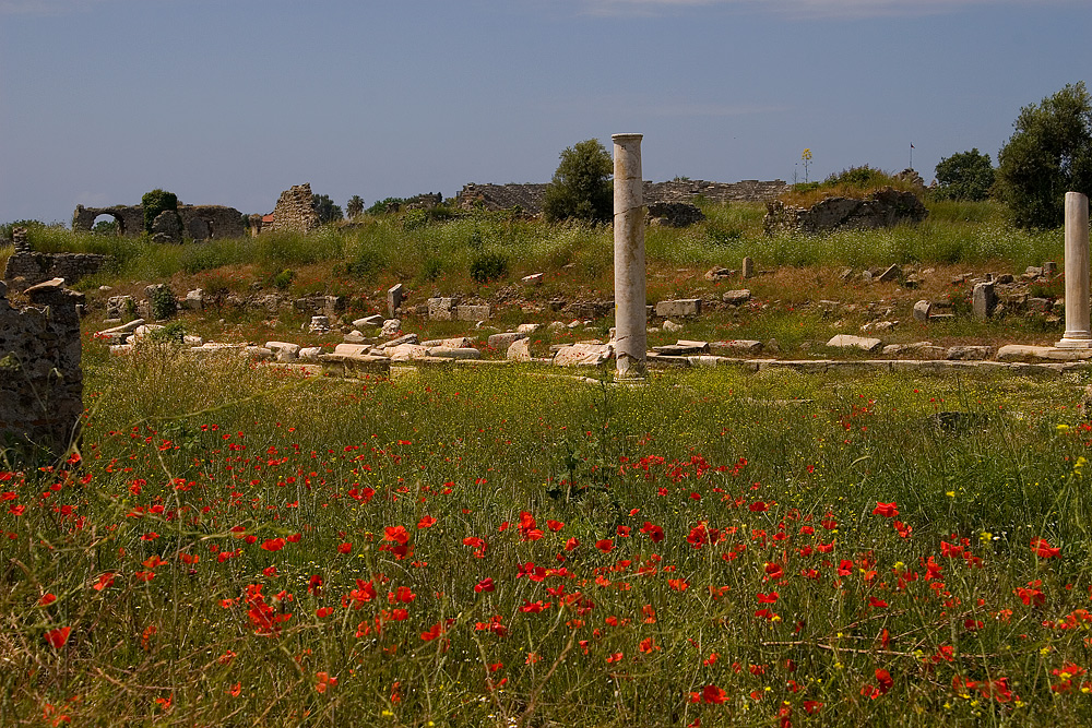 Antike mit Mohn