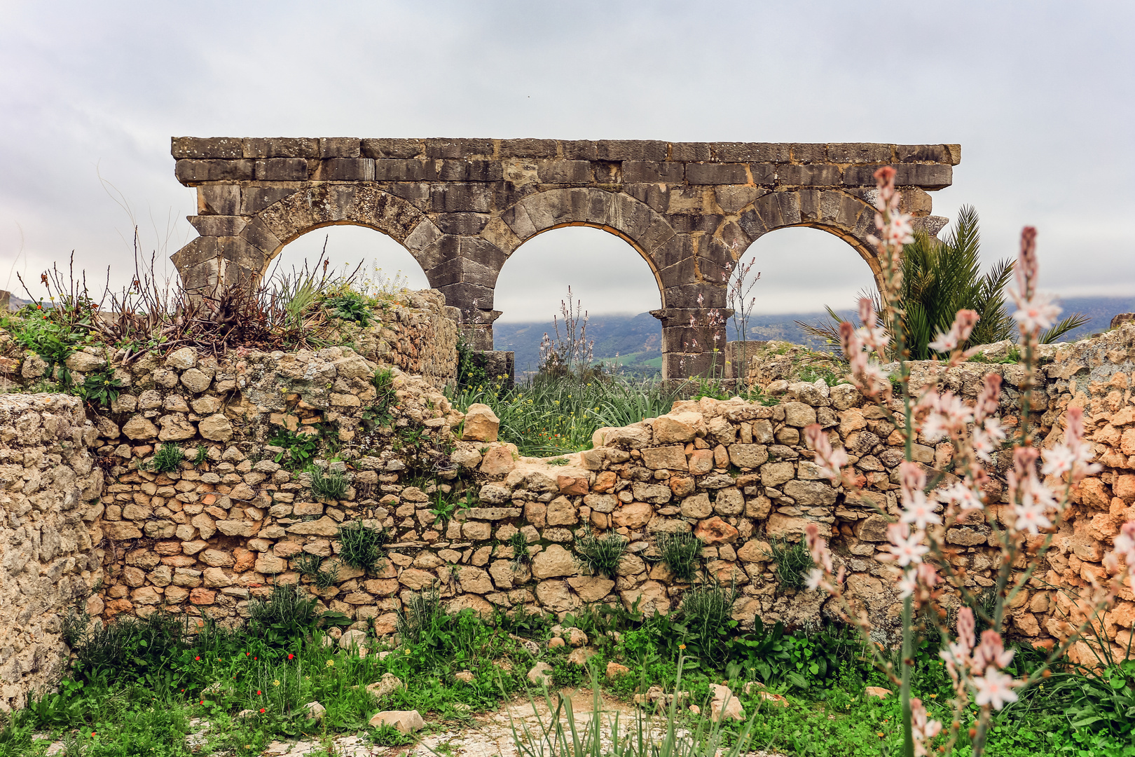 Antike Stätte von Volubilis