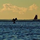 Antikes Zeeseboot auf Fahrt