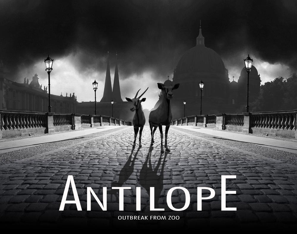 Antilope