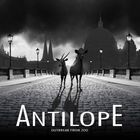 Antilope