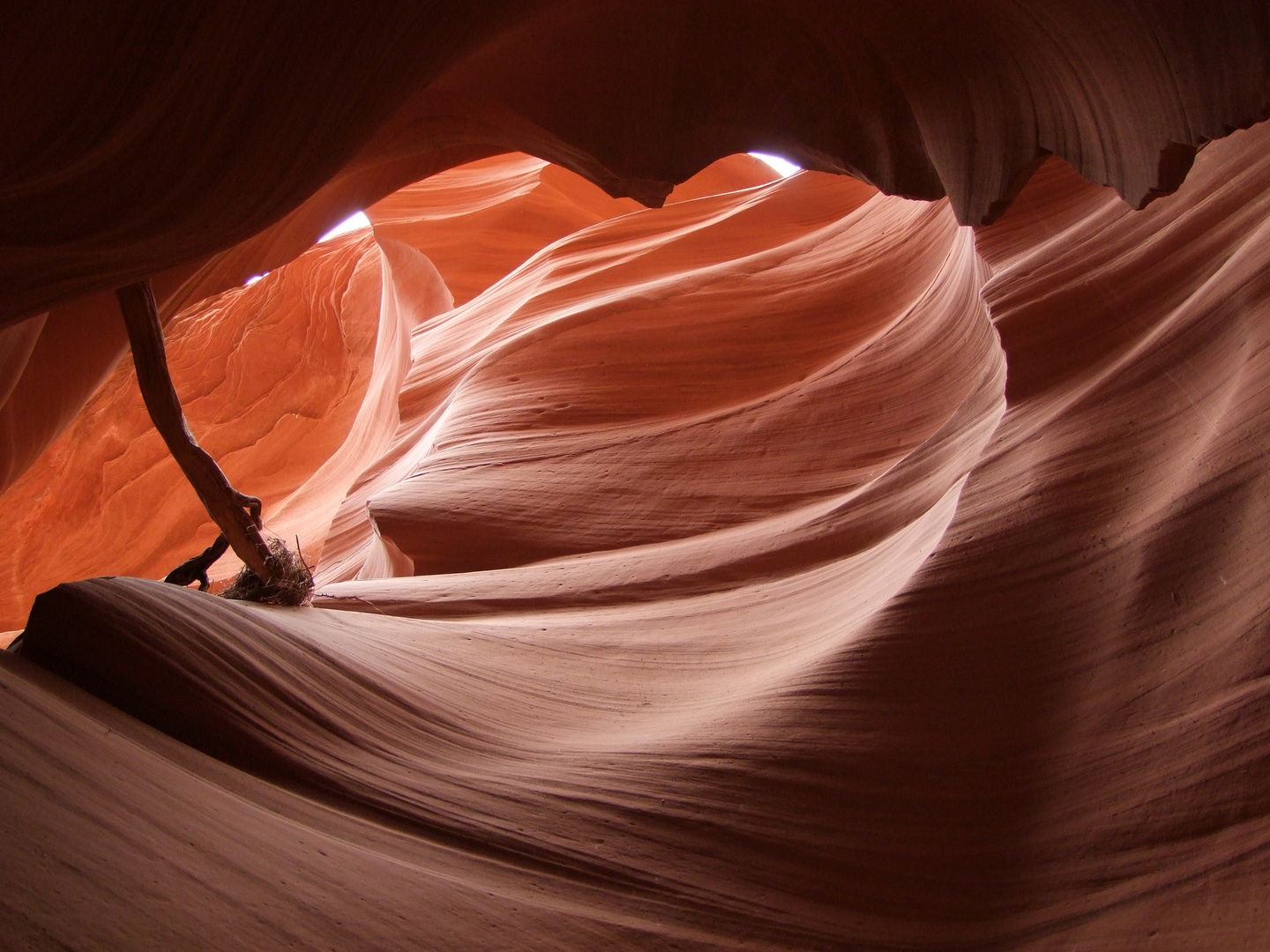 Antilope Canyon