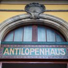 Antilopenhaus