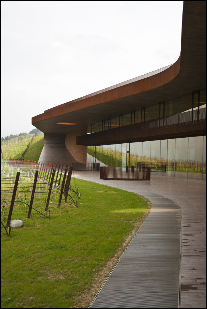 Antinori