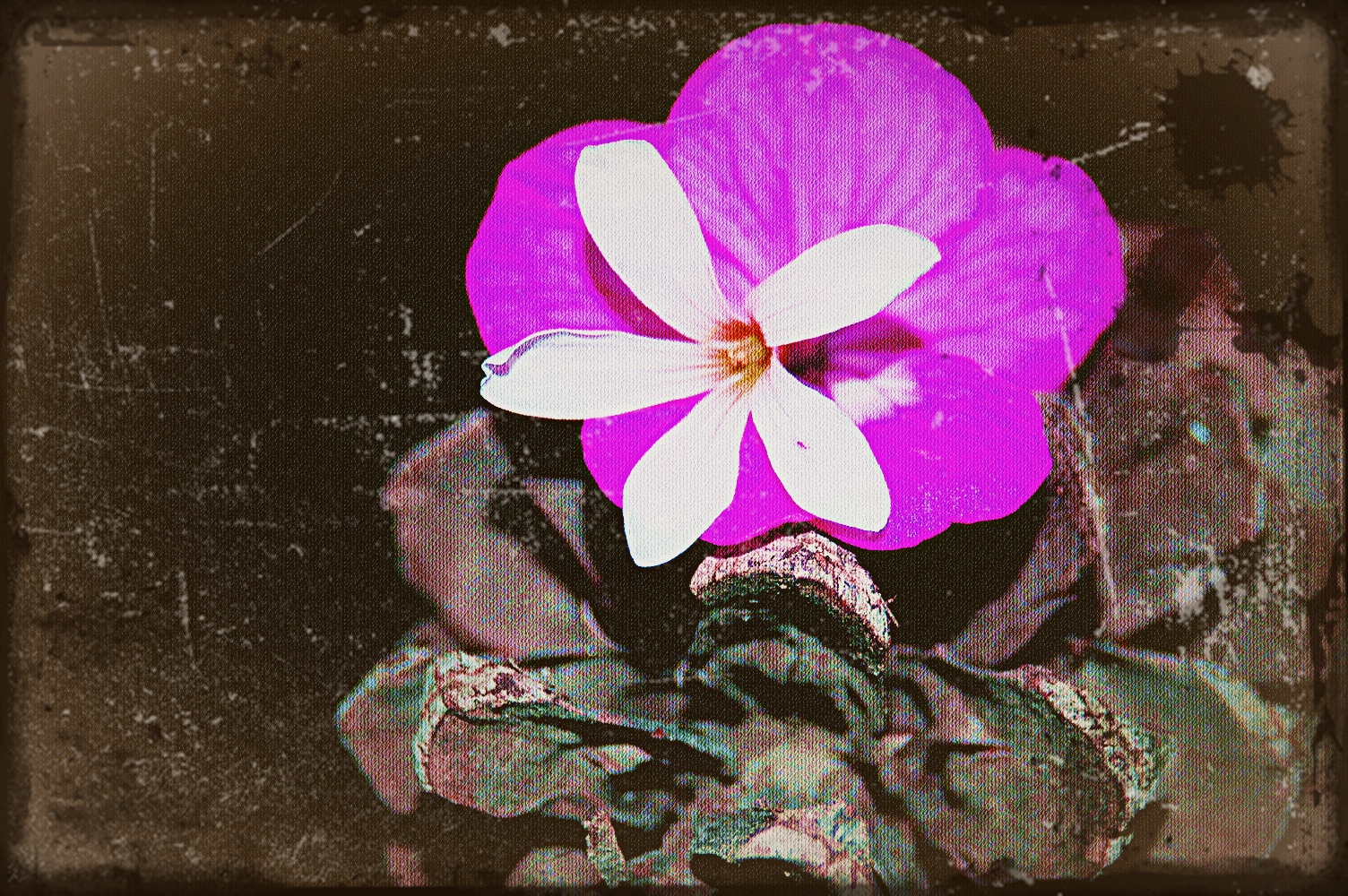 Antique Flower