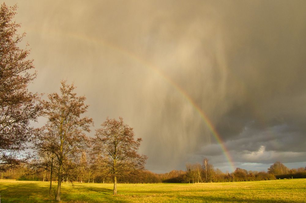 Antjes Regenbogen