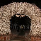 Antler Arch