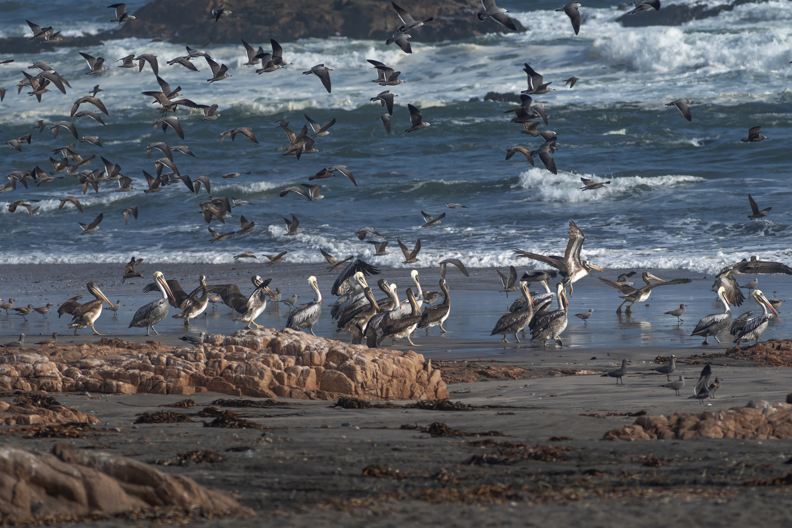 antofagasta impressionen #9