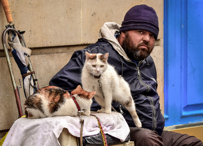 Antoine et ses chats