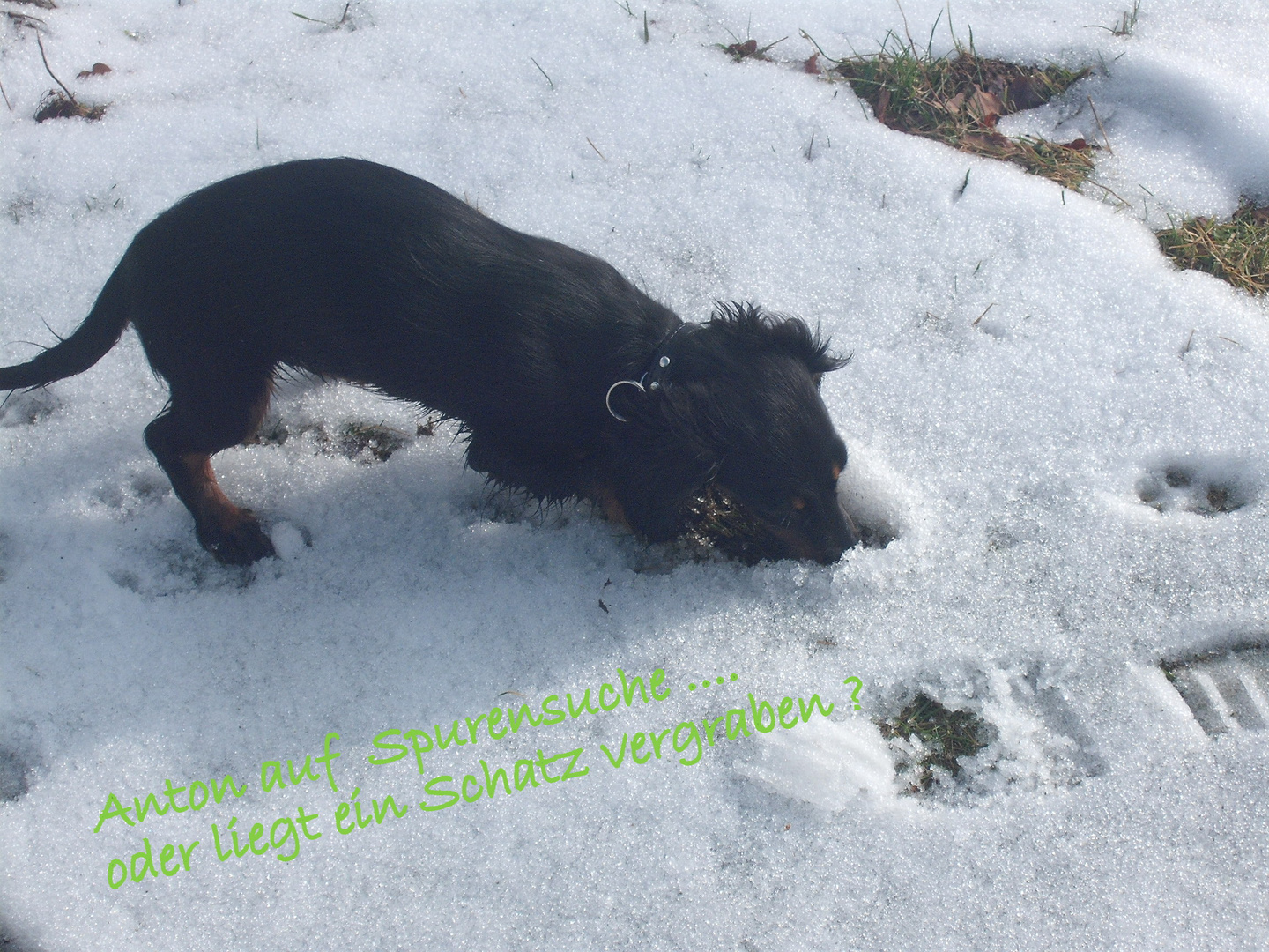 Anton im Schnee