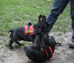 Anton und Emma in Action