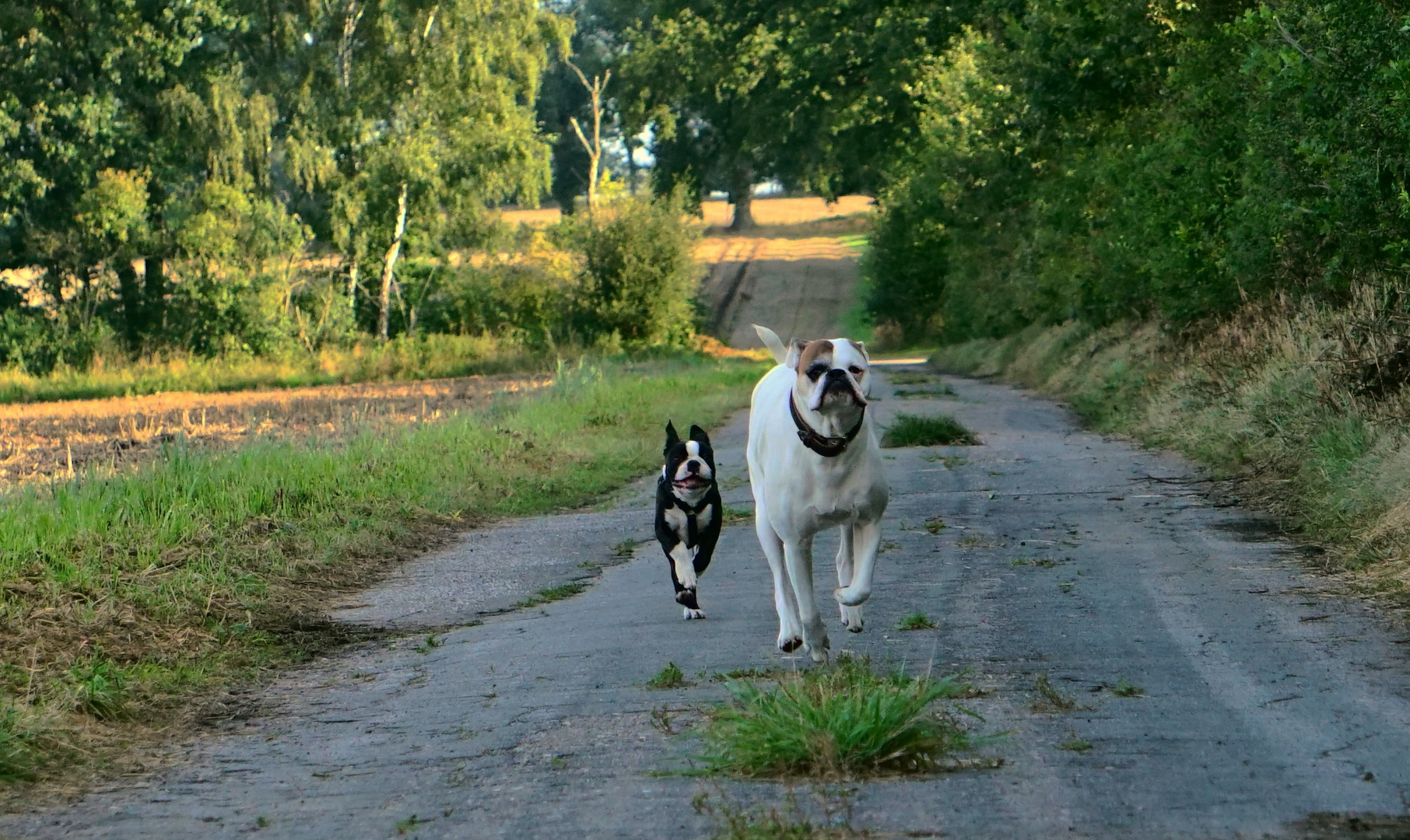 Anton und Luna