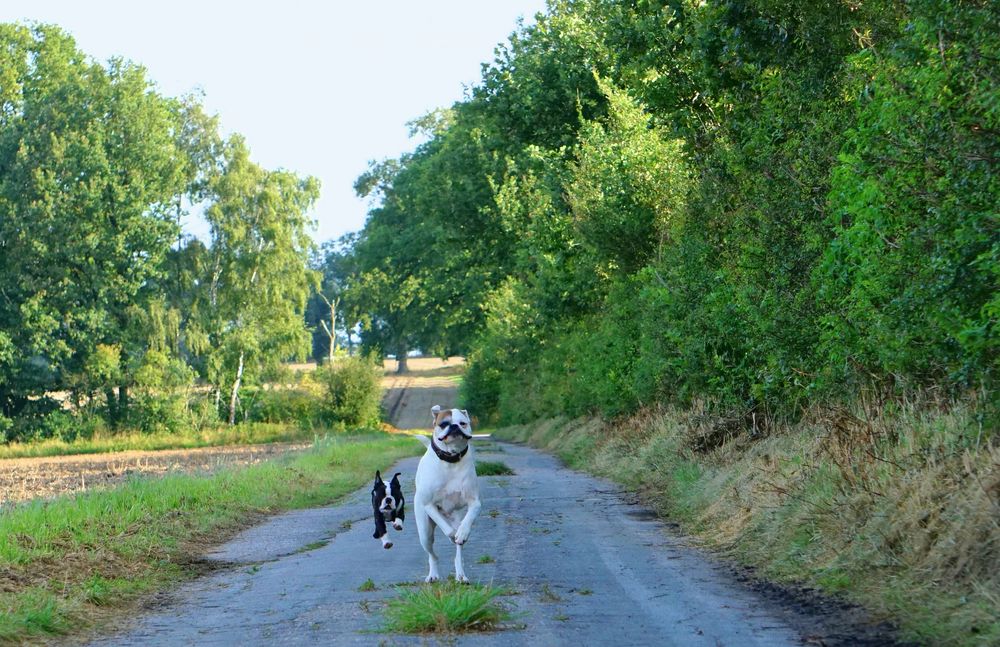 Anton und Luna