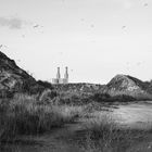 Antonello Zoffoli - Seagull Land Ravenna