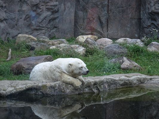 Antonia träumt von lecker Fisch....