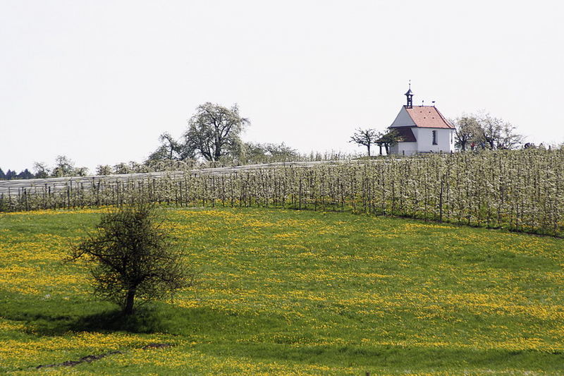 Antoniuskapelle in der Maiblüte