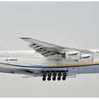 Antonov Airlines UR - 82008