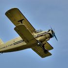 Antonov AN-2