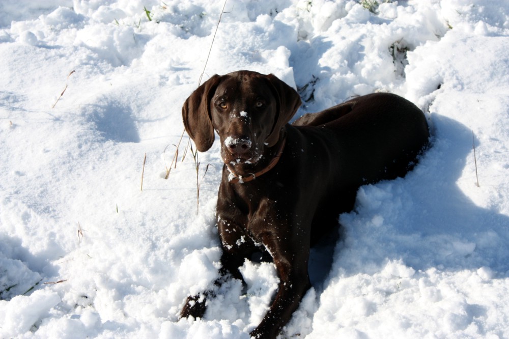 Anton´s erster Schnee