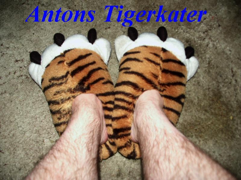 Antons Tigerkatze