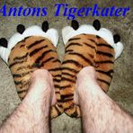 Antons Tigerkatze