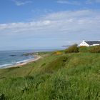 Antrim Coast by Dunluce Castle