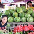 Anturios with watermelons