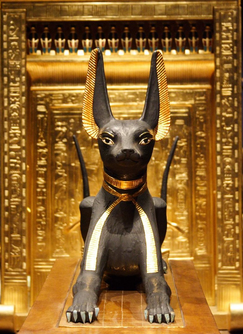 Anubis