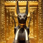 Anubis