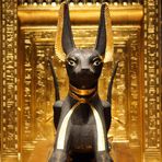 Anubis