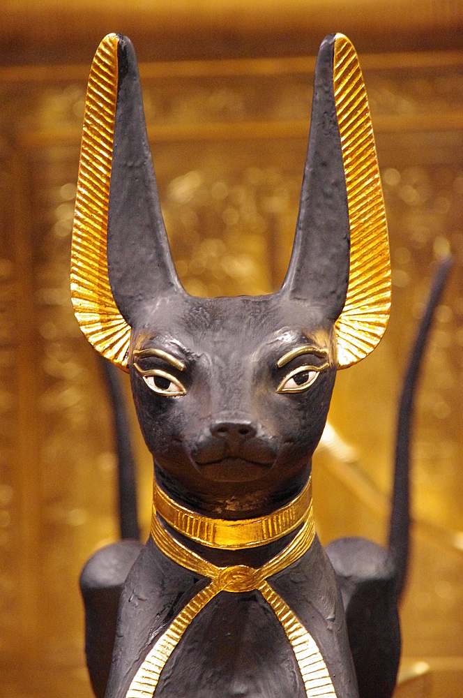 Anubis