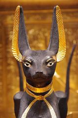 Anubis