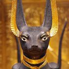 Anubis