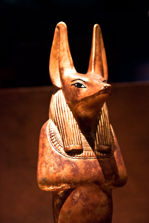 Anubis