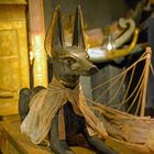 Anubis 