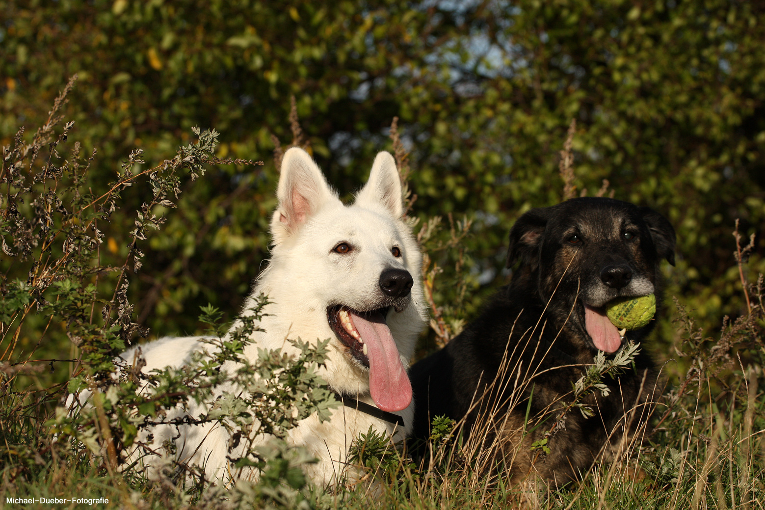 Anuk und Kuddel