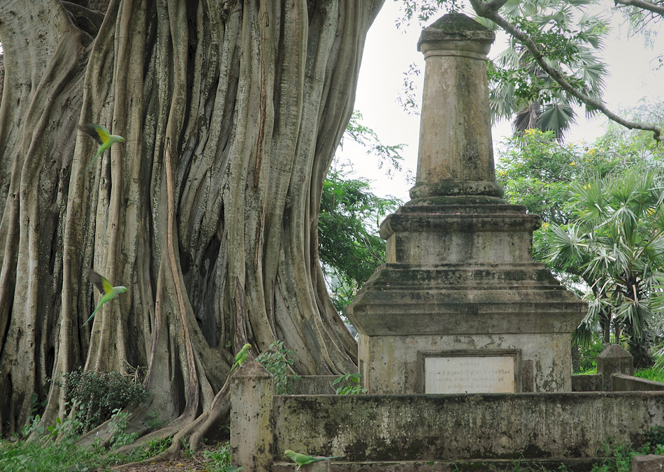 Anuradhapura 10