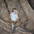 Anuradhapura 14