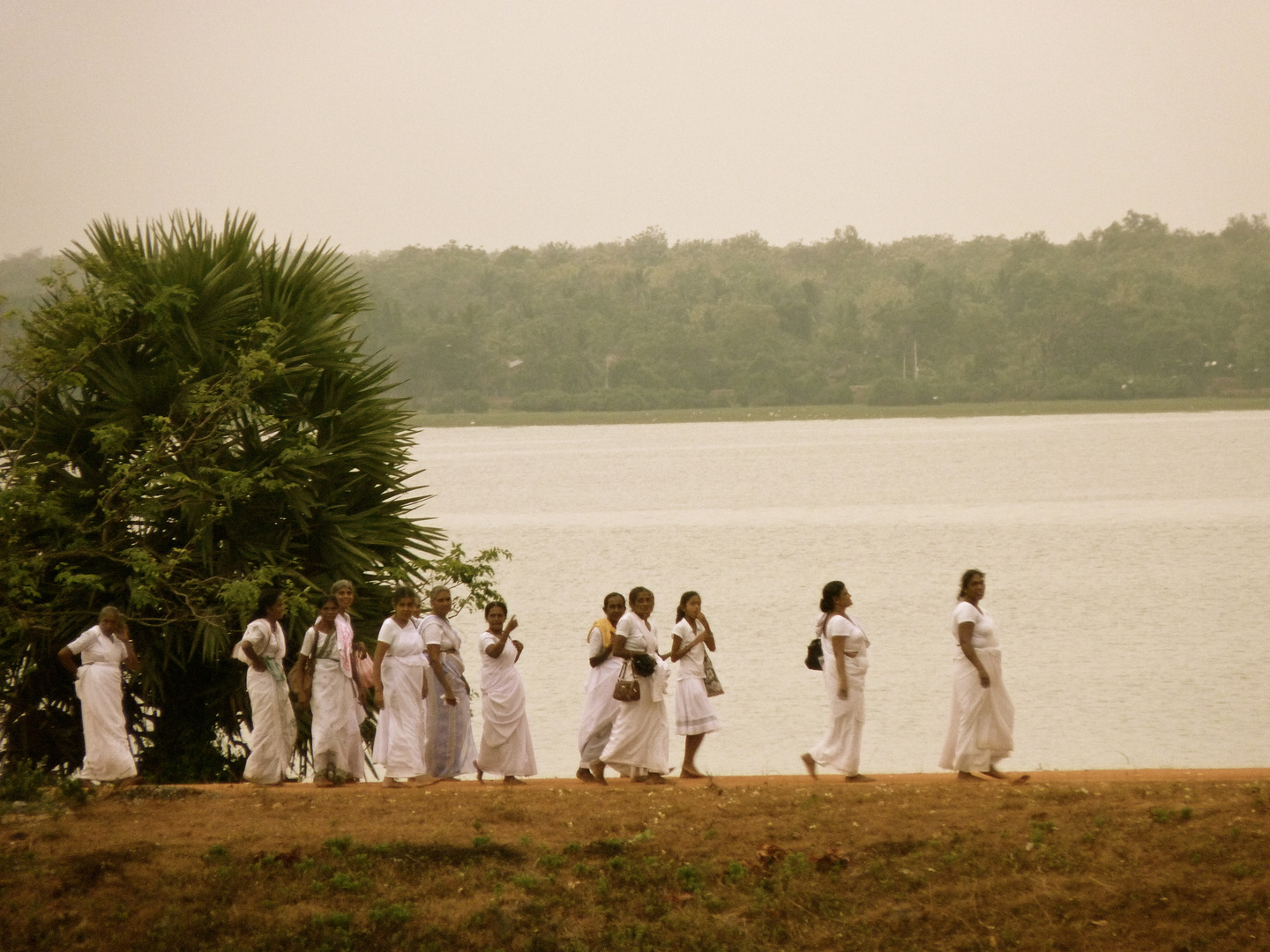 Anuradhapura lake