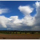 Anvil Sky