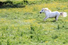 Anweiden 2018 052