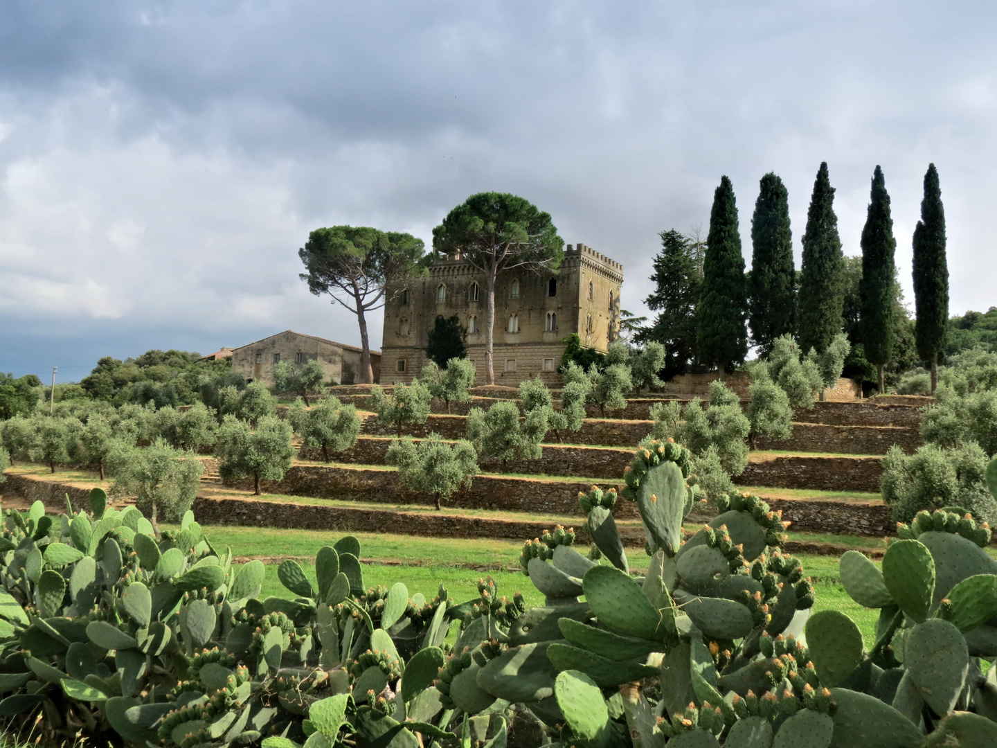 Anwesen bei Campiglia Marittima