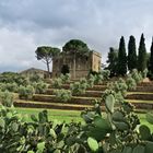 Anwesen bei Campiglia Marittima