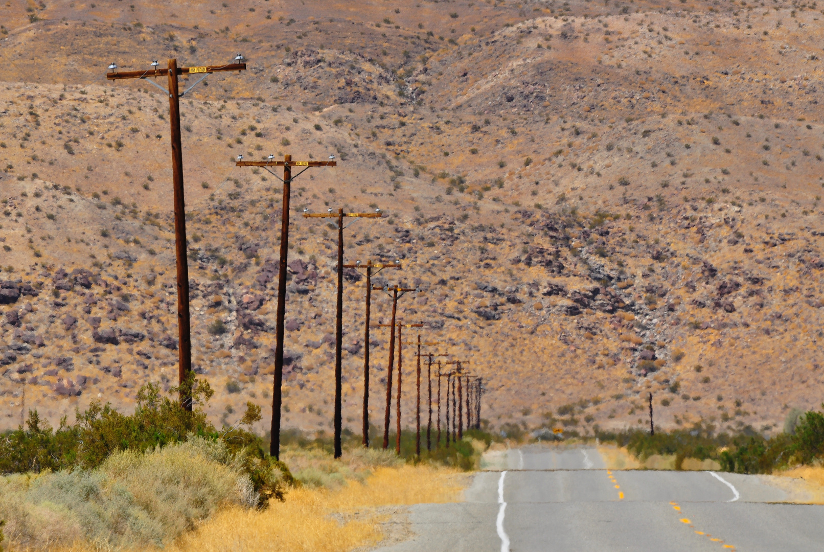 anza borrego