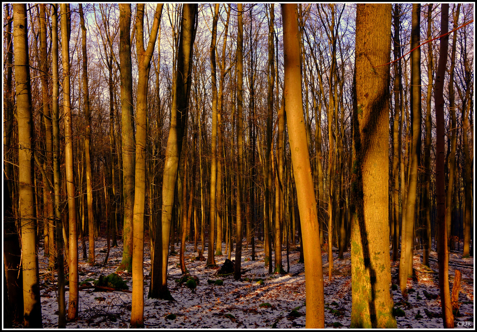 Anzeichen von Winter