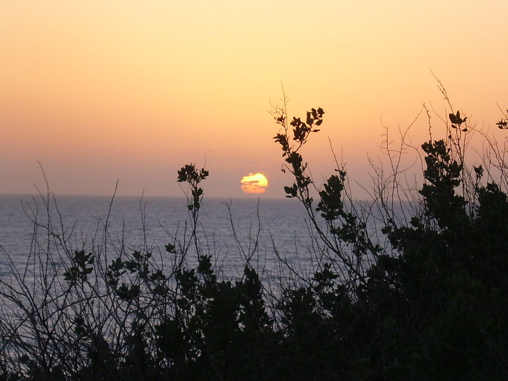 Anzio, vicino