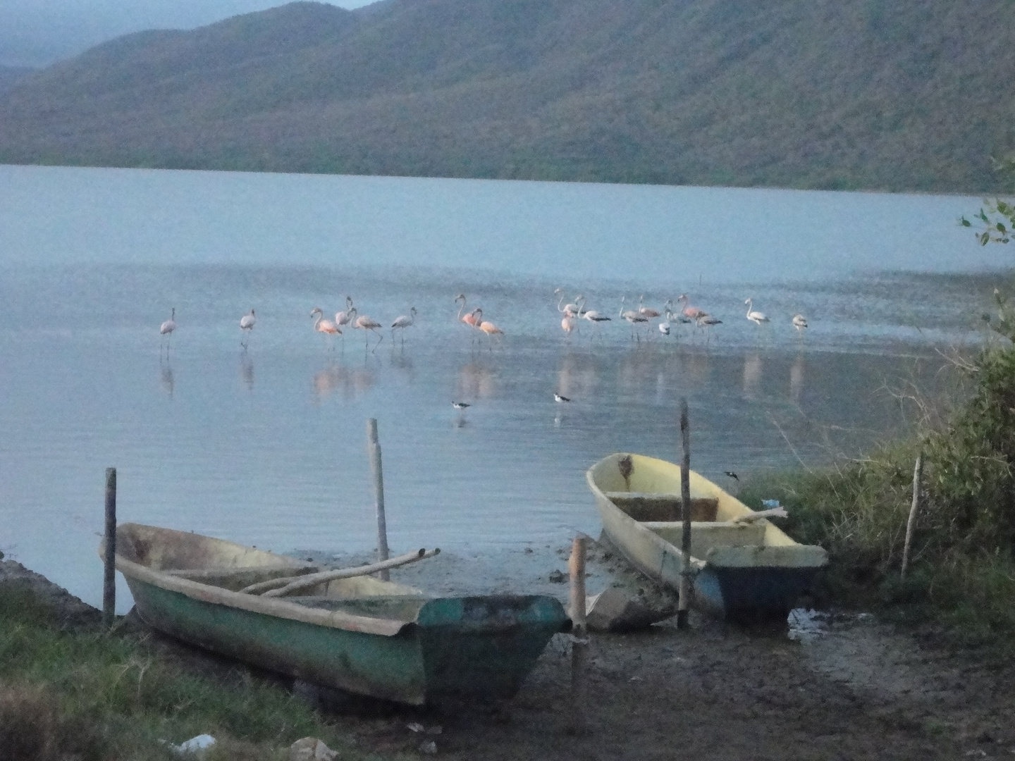 .Anzoategui ,Laguna de Unare , El HATILLO