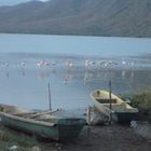 .Anzoategui ,Laguna de Unare , El HATILLO